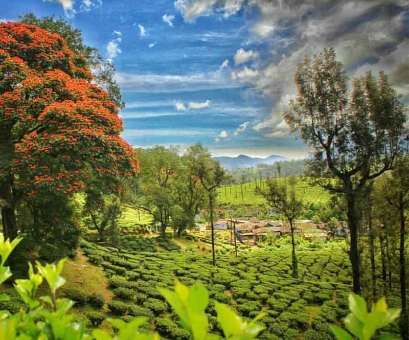 Valparai